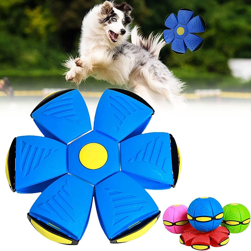 TopBall - juguete interactivo para mascota