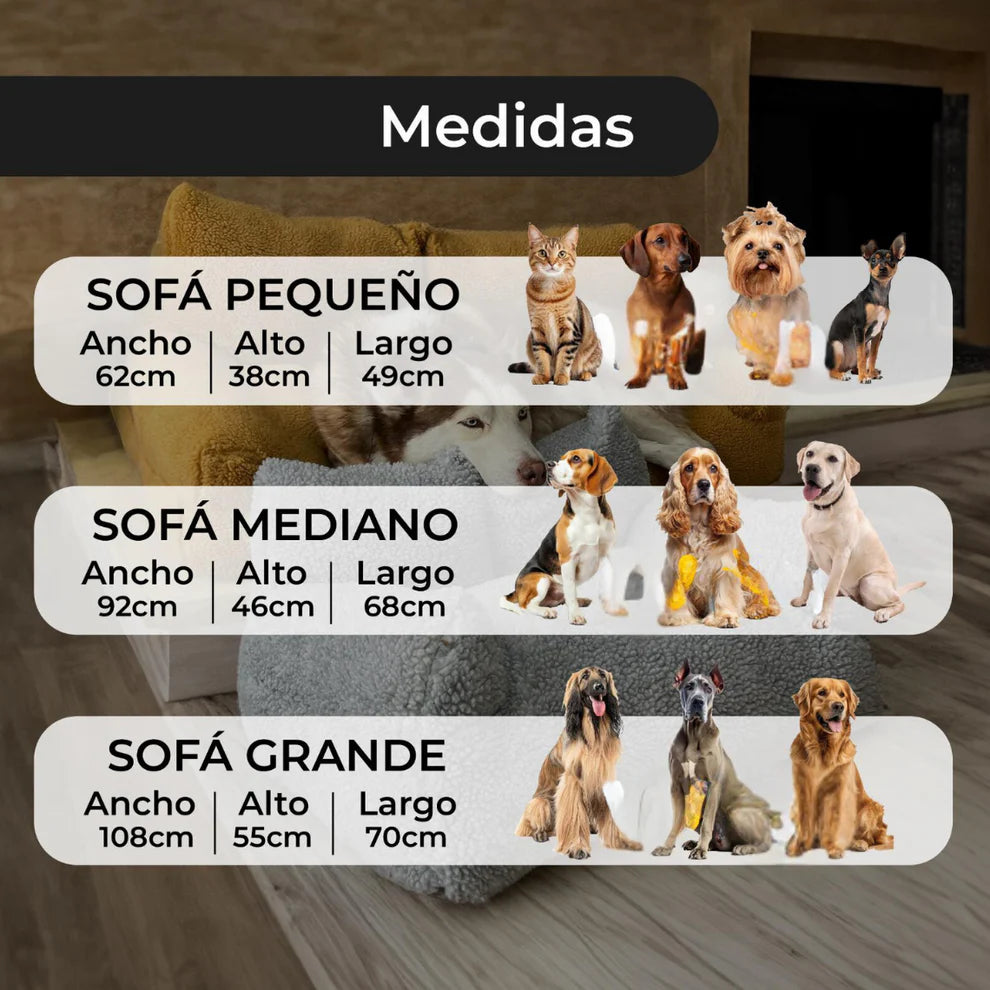 PetLounge – El Sofá de Lujo para tu Mascota 🐾